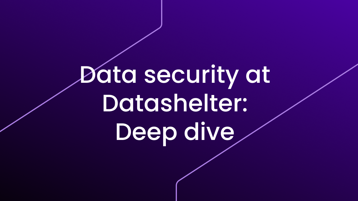 Deep dive: how does Datashelter secure your data